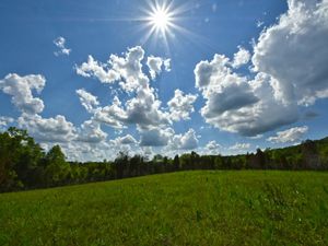 large fluffy clouds scattered across a sunny sky