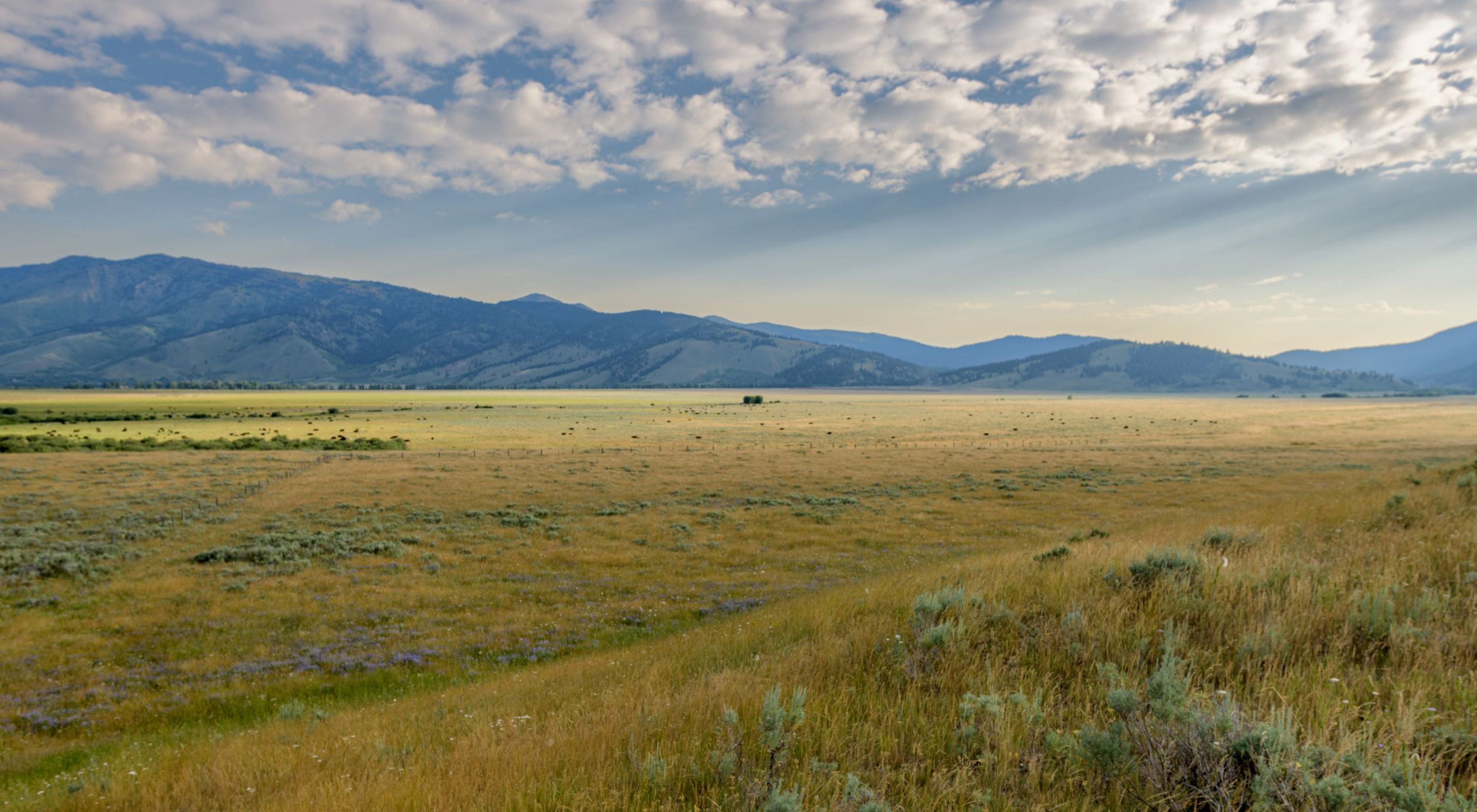 a vast open field with a mountain range in the distance.